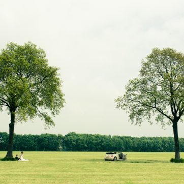 Bruidspaar en VW Beetle op een pasgemaaid veld in de buurt van Zuidwolde.